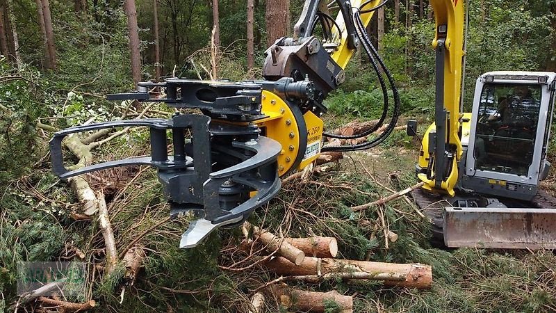 Sonstige Forsttechnik of the type Uniforest Fällgreifer Energieholzgreifer Uniforest RK 260 BR  RK 260 BRZ, Neumaschine in Schlettau (Picture 3)