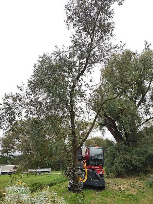 Sonstige Forsttechnik of the type Uniforest Fällgreifer Energieholzgreifer Uniforest RK 260 BR  RK 260 BRZ, Neumaschine in Schlettau (Picture 11)