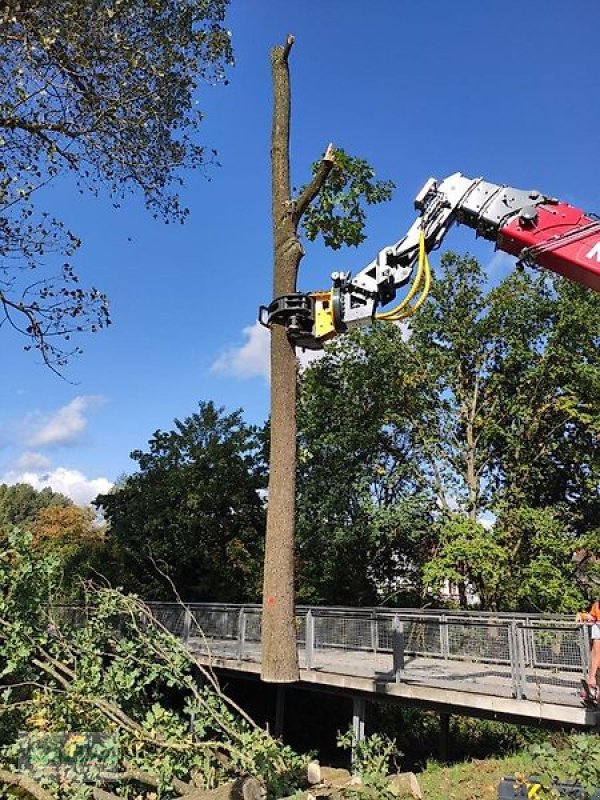 Sonstige Forsttechnik of the type Uniforest Fällgreifer Energieholzgreifer Uniforest RK 260 BR  RK 260 BRZ, Neumaschine in Schlettau (Picture 12)