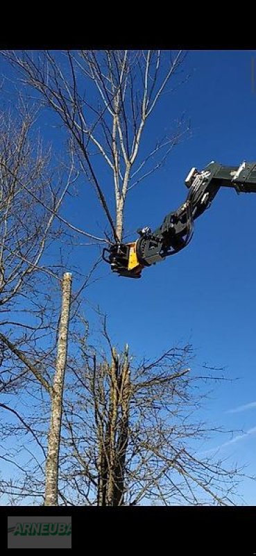 Sonstige Forsttechnik typu Uniforest Fällgreifer RK 260 BR für Bagger, BRZ auch am Lager, Neumaschine v Schlettau (Obrázok 5)