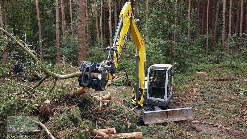 Sonstige Forsttechnik a típus Uniforest Fällgreifer RK 260 BR für Bagger, BRZ auch am Lager, Neumaschine ekkor: Schlettau (Kép 9)