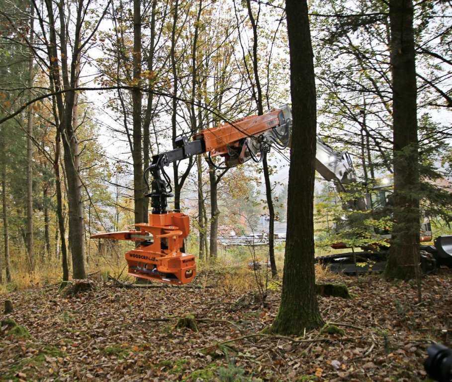 Sonstige Forsttechnik typu westtech CS 510 Crane Greifersäge, Neumaschine v Petting (Obrázek 2)