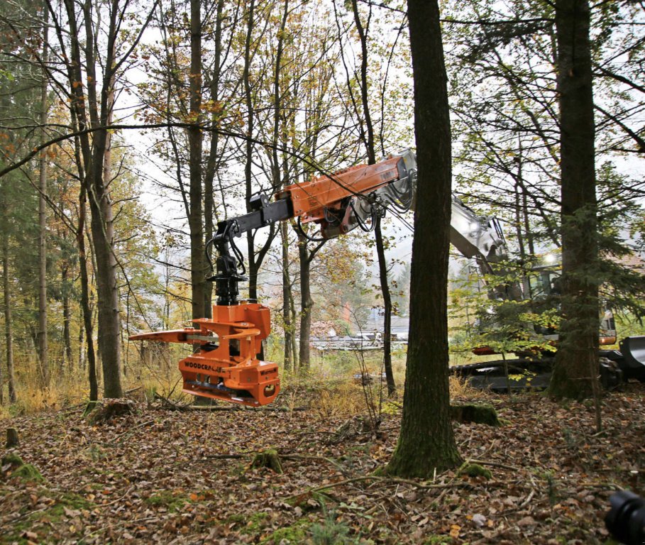 Sonstige Forsttechnik des Typs westtech CS 510 Crane Greifersäge, Neumaschine in Petting (Bild 2)