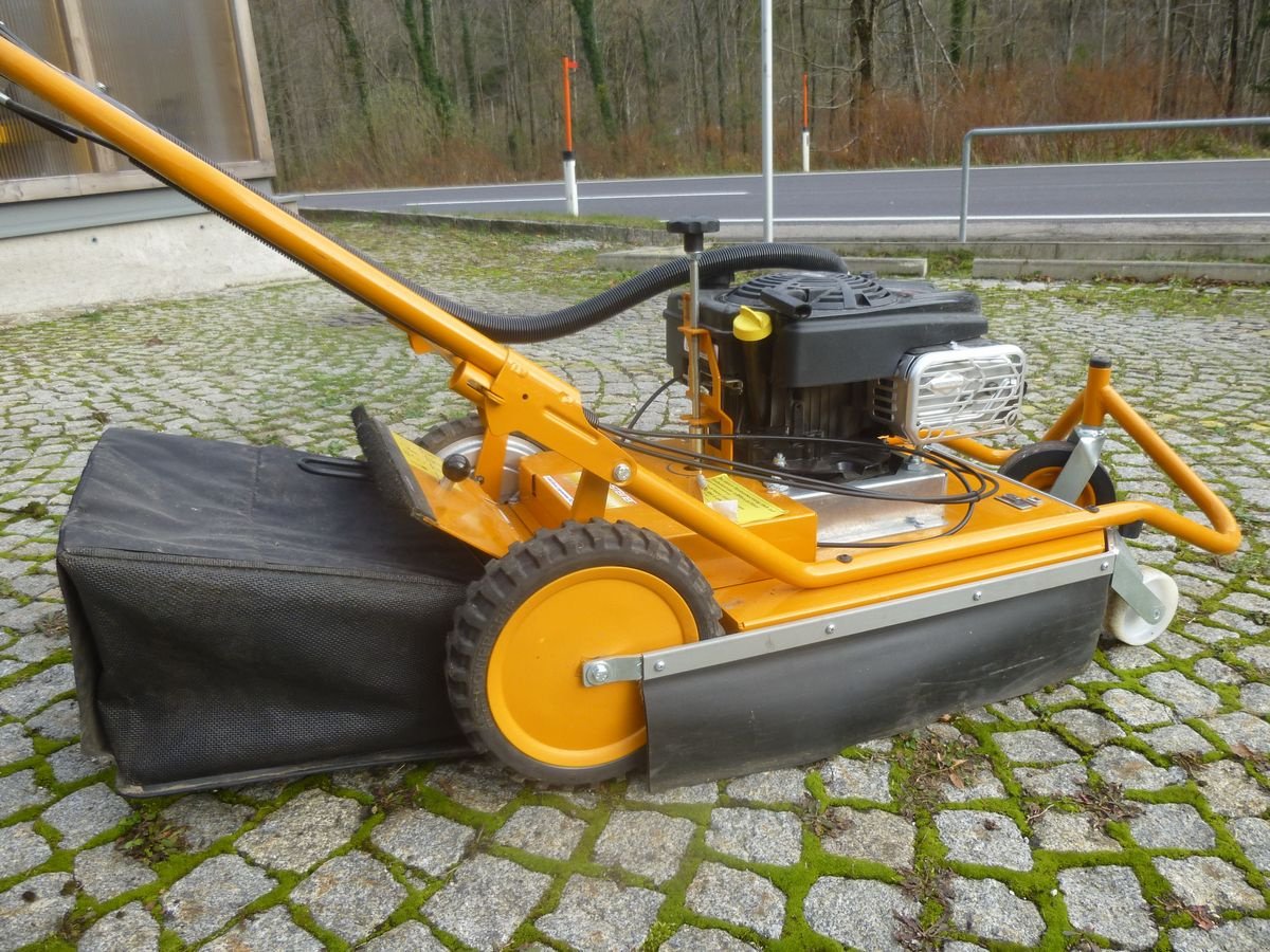 Sonstige Gartentechnik & Kommunaltechnik des Typs AS Baugeräte 50 WeedHex, Gebrauchtmaschine in Ebensee (Bild 2)