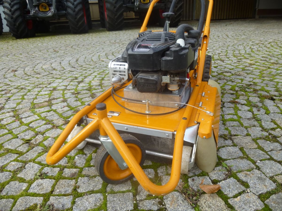 Sonstige Gartentechnik & Kommunaltechnik des Typs AS Baugeräte 50 WeedHex, Gebrauchtmaschine in Ebensee (Bild 5)