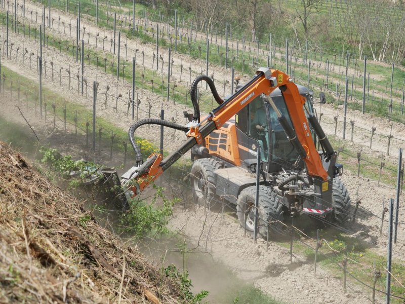 Energreen ILF Kommunal, Vorführmaschine, Rok výroby: 2025 (Obrázek 1) Sonstige Gartentechnik & Kommunaltechnik typu Energreen ILF Kommunal, Vorführmaschine v Krustetten (Obrázek 1)