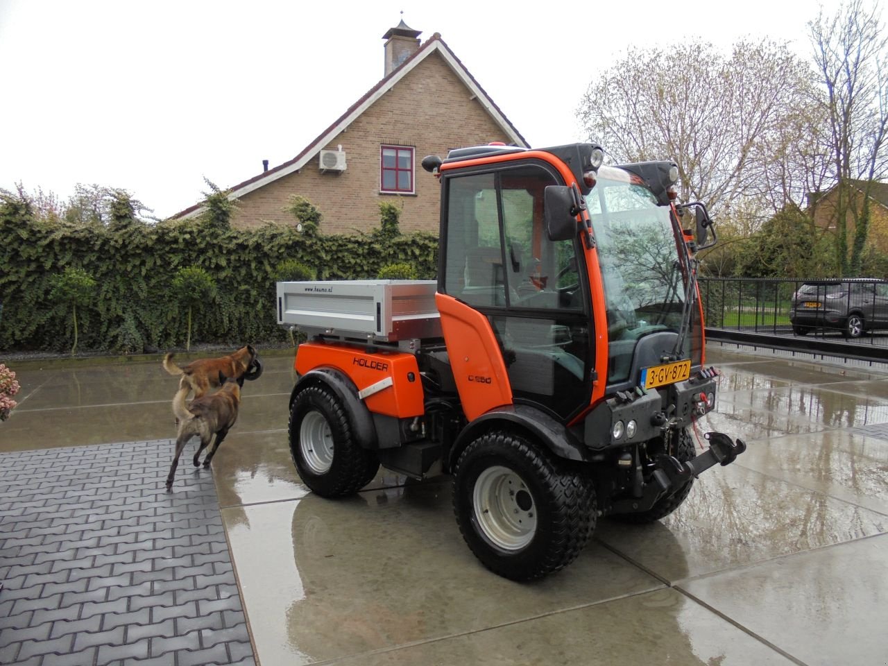 Sonstige Gartentechnik & Kommunaltechnik des Typs Holder c250, Gebrauchtmaschine in Hedel (Bild 4)