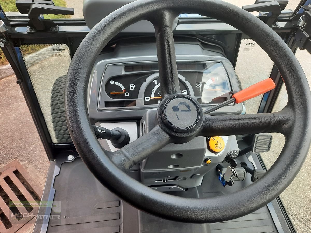 Sonstige Gartentechnik & Kommunaltechnik typu Iseki TM 3217 AHLK, Neumaschine v Kronstorf (Obrázek 12)