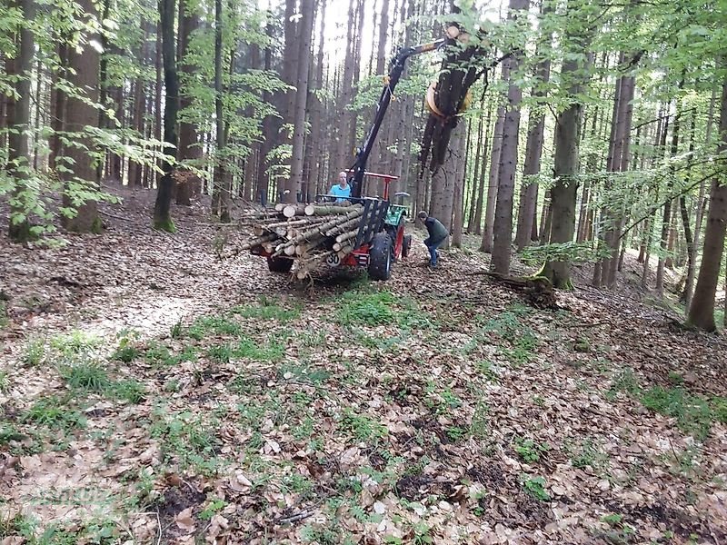 Sonstige Gartentechnik & Kommunaltechnik typu Källefall Rückewagen Rückehänger FB30D mit Forstkran FB 42L, Neumaschine v Schlettau (Obrázek 10)