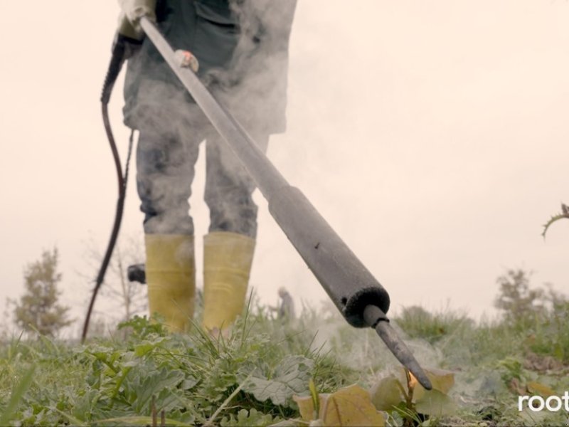Sonstige Gartentechnik & Kommunaltechnik a típus Kersten Rootwave, Neumaschine ekkor: Regensdorf (Kép 1)