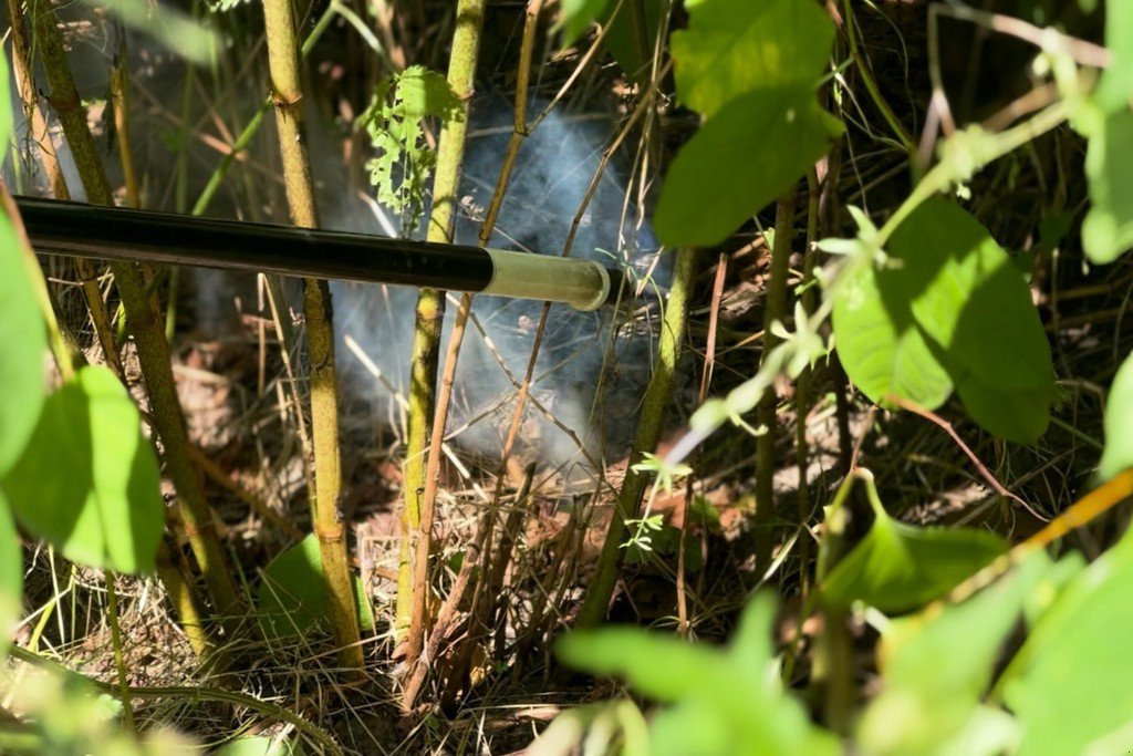 Sonstige Gartentechnik & Kommunaltechnik tip Kersten Rootwave, Neumaschine in Regensdorf (Poză 5)