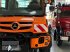 Sonstige Gartentechnik & Kommunaltechnik typu Mercedes-Benz Unimog U 530 mit neuem Motor, Gebrauchtmaschine v Hagelstadt (Obrázek 21)