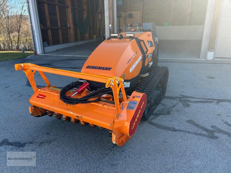 Sonstige Gartentechnik & Kommunaltechnik типа Sonstige Bergmann Mähraupe M 201 mit Zubehör, Gebrauchtmaschine в Hagelstadt (Фотография 1)