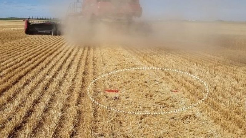 Sonstige Gartentechnik & Kommunaltechnik tip Sonstige Bushel Plus SPILDBAKKE SYSTEM 40" - 1,0 m, Gebrauchtmaschine in Hinnerup (Poză 5)