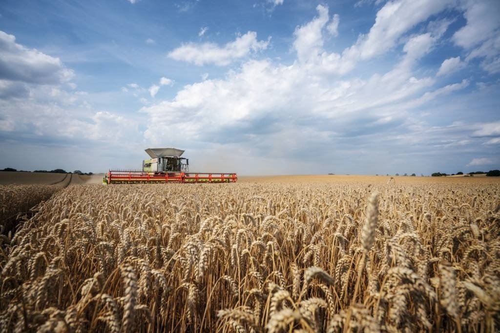 Sonstige Gartentechnik & Kommunaltechnik des Typs Sonstige CLAAS Convio 930, Gebrauchtmaschine in Hinnerup (Bild 10)