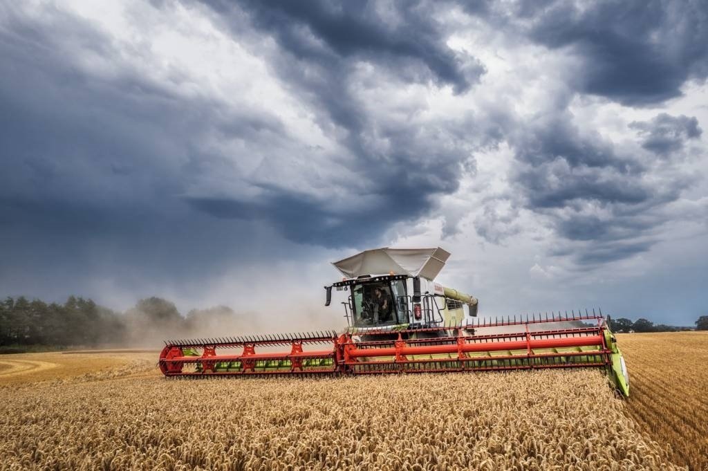 Sonstige Gartentechnik & Kommunaltechnik des Typs Sonstige CLAAS Convio 930, Gebrauchtmaschine in Hinnerup (Bild 9)
