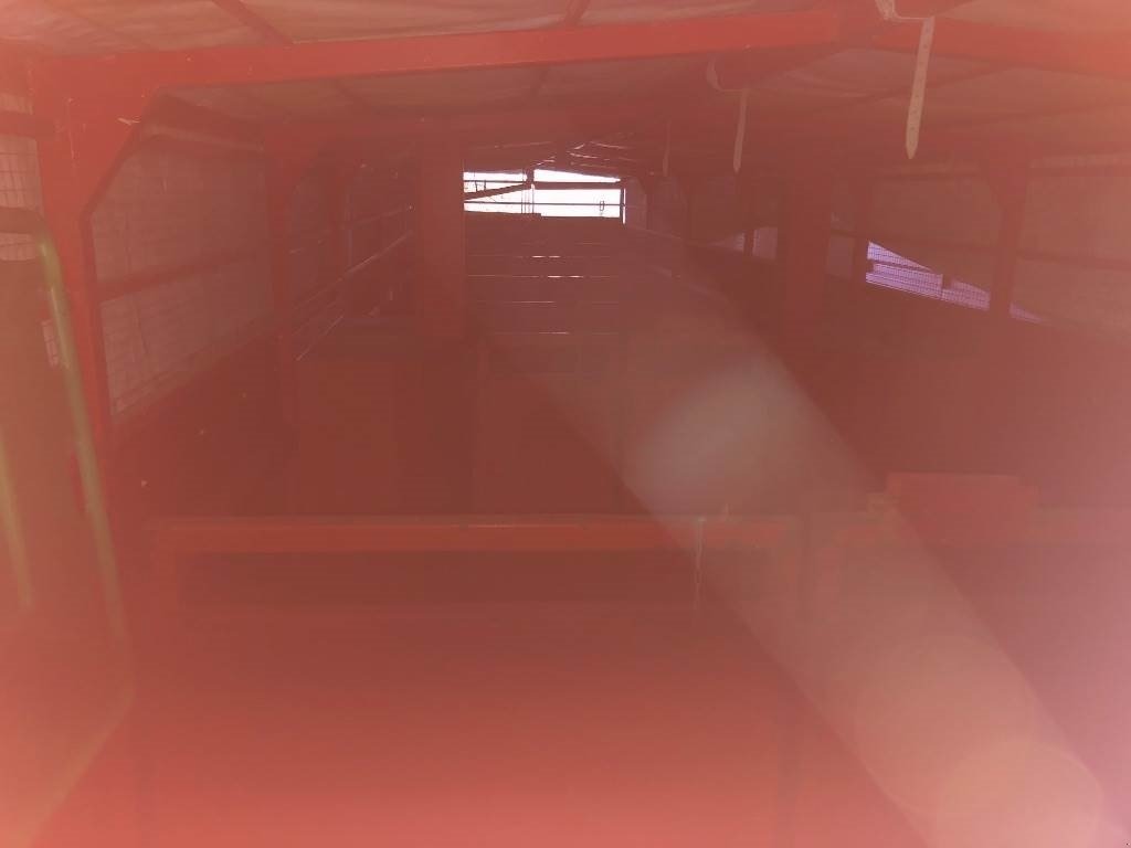 Sonstige Gartentechnik & Kommunaltechnik typu Sonstige CN Grisetransportvogn, Gebrauchtmaschine v Hinnerup (Obrázek 5)