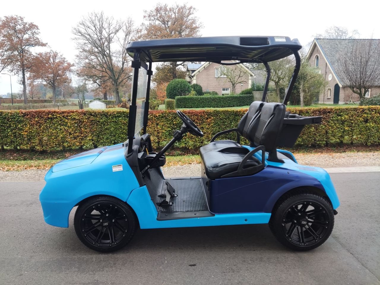 Sonstige Gartentechnik & Kommunaltechnik typu Sonstige EZGO / Chevrolet Camaro, Gebrauchtmaschine v Klarenbeek (Obrázek 5)