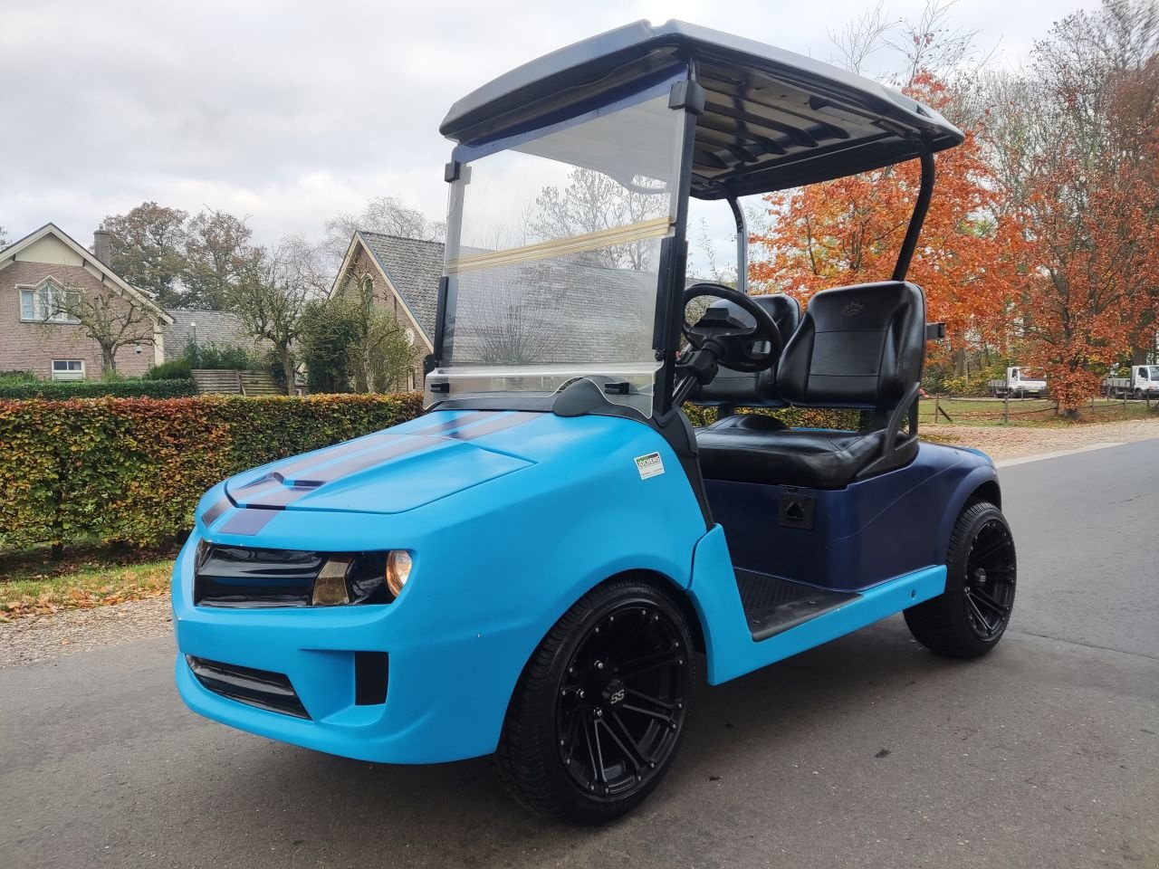 Sonstige Gartentechnik & Kommunaltechnik typu Sonstige EZGO / Chevrolet Camaro, Gebrauchtmaschine v Klarenbeek (Obrázek 1)