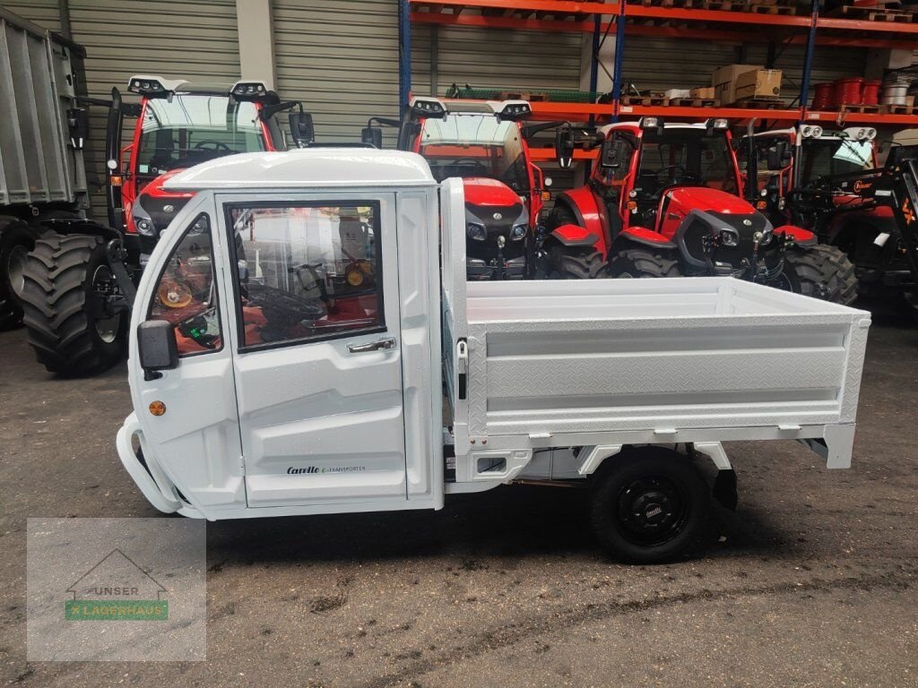 Sonstige Gartentechnik & Kommunaltechnik του τύπου Sonstige GRAF CARELLO LDR-CABINO 72VOLT 1000WATT, Neumaschine σε Aschbach (Φωτογραφία 2)