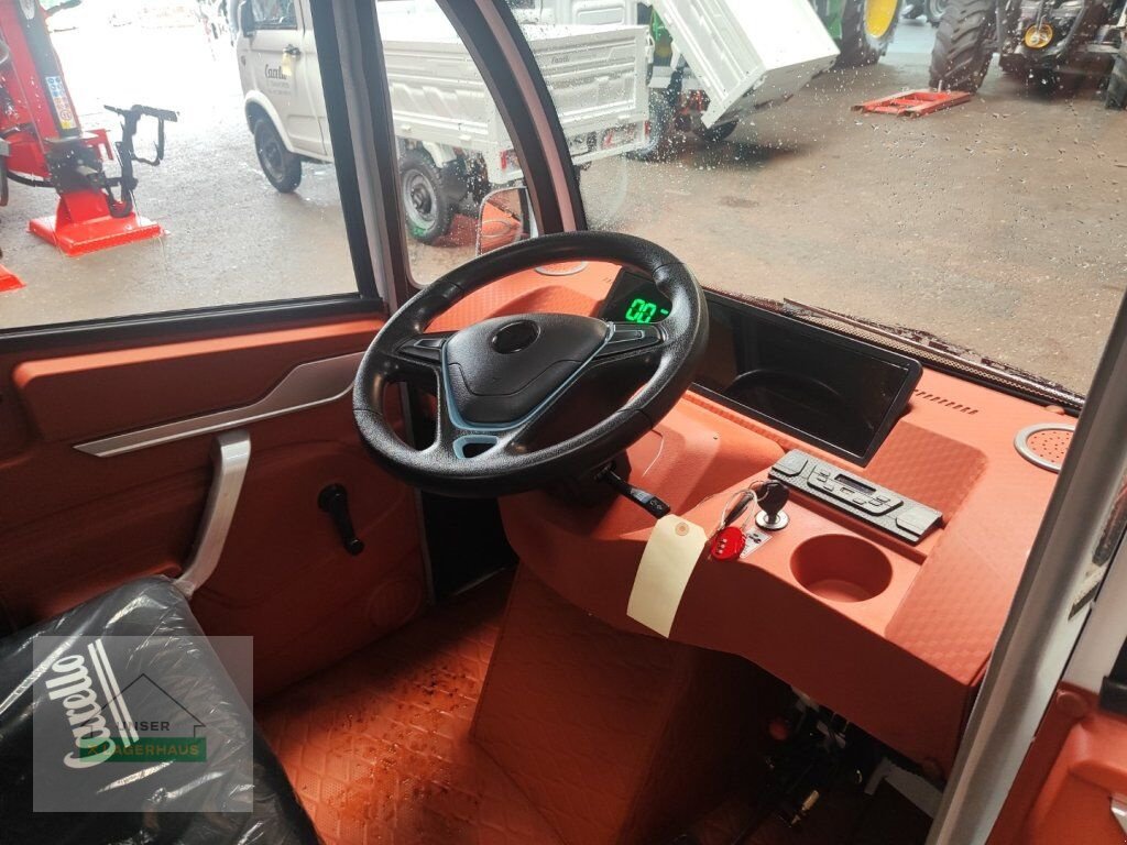 Sonstige Gartentechnik & Kommunaltechnik του τύπου Sonstige GRAF CARELLO LDR-CABINO 72VOLT 1000WATT, Neumaschine σε Aschbach (Φωτογραφία 5)