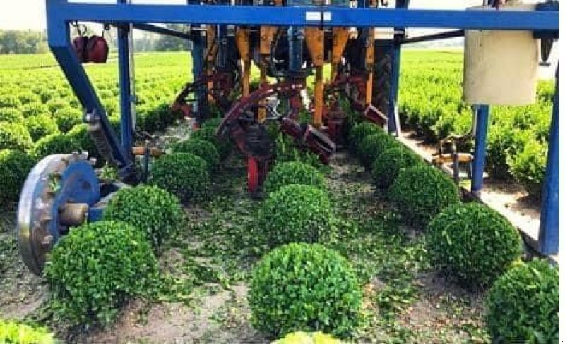 Sonstige Gartentechnik & Kommunaltechnik typu Sonstige Lommers Rond Snoeimachine rondsnoeier, kluitensteker en Fiat 80-, Gebrauchtmaschine v Wierden (Obrázok 1)