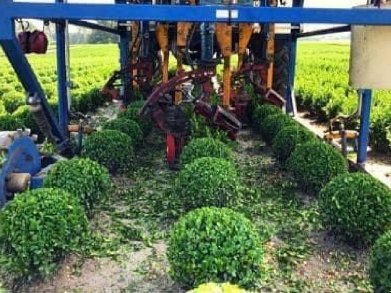 Sonstige Gartentechnik & Kommunaltechnik typu Sonstige Lommers Rond Snoeimachine rondsnoeier, kluitensteker en Fiat 80-, Gebrauchtmaschine w Wierden (Zdjęcie 1)