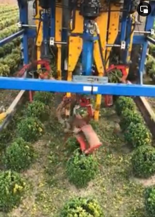 Sonstige Gartentechnik & Kommunaltechnik typu Sonstige Lommers Rond Snoeimachine rondsnoeier, kluitensteker en Fiat 80-, Gebrauchtmaschine v Wierden (Obrázok 2)