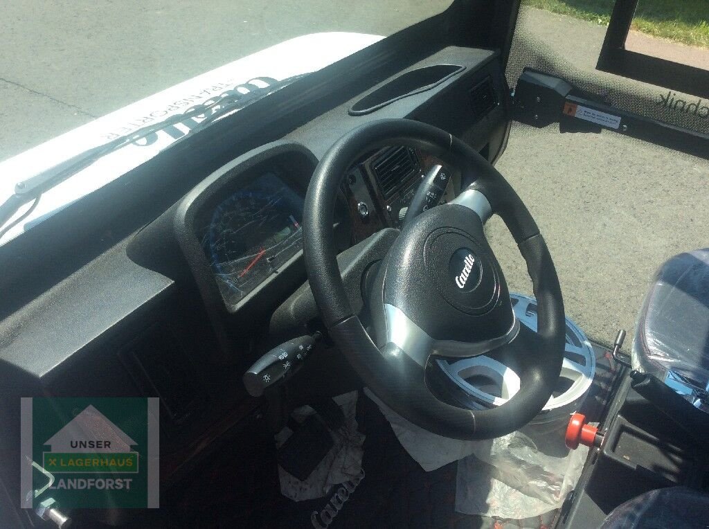 Sonstige Gartentechnik & Kommunaltechnik типа Sonstige TR10, Neumaschine в Kobenz bei Knittelfeld (Фотография 9)