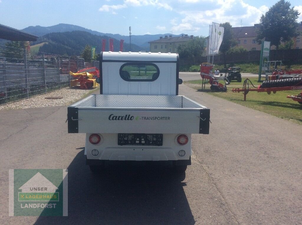 Sonstige Gartentechnik & Kommunaltechnik типа Sonstige TR10, Neumaschine в Kobenz bei Knittelfeld (Фотография 4)