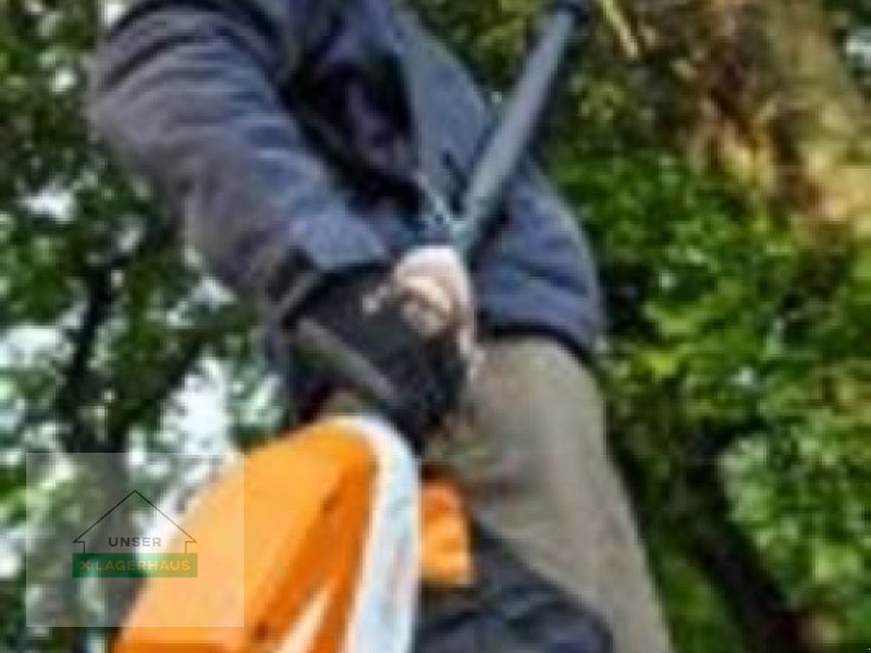 Sonstige Gartentechnik & Kommunaltechnik Türe ait Stihl AKKU HOCHENTASTER HTA160, Neumaschine içinde Wolfpassing (resim 1)