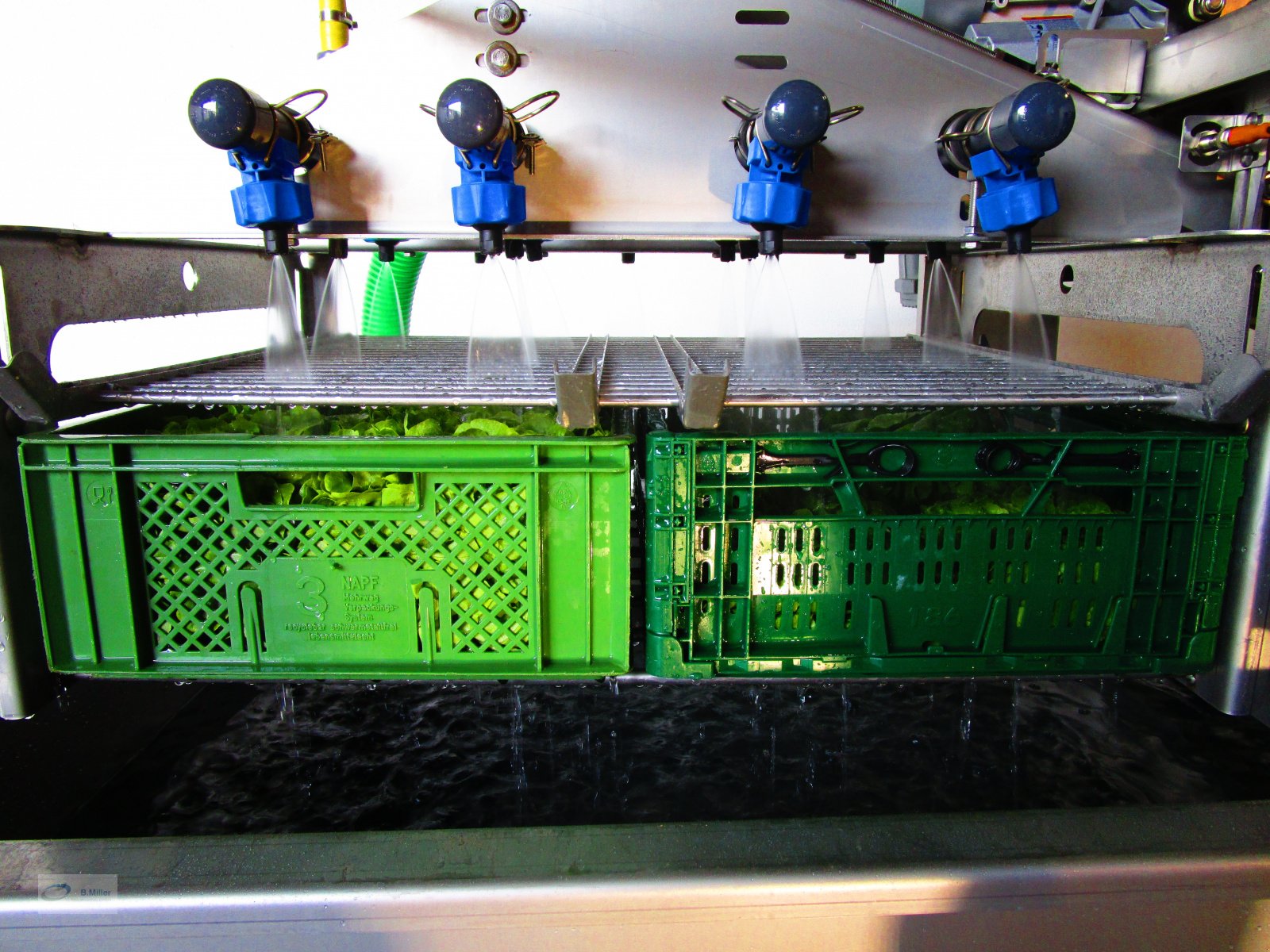 Sonstige Gemüsetechnik des Typs B. Miller Maschinenbau GmbH Salatwaschmaschine, Neumaschine in Eppishausen (Bild 5)