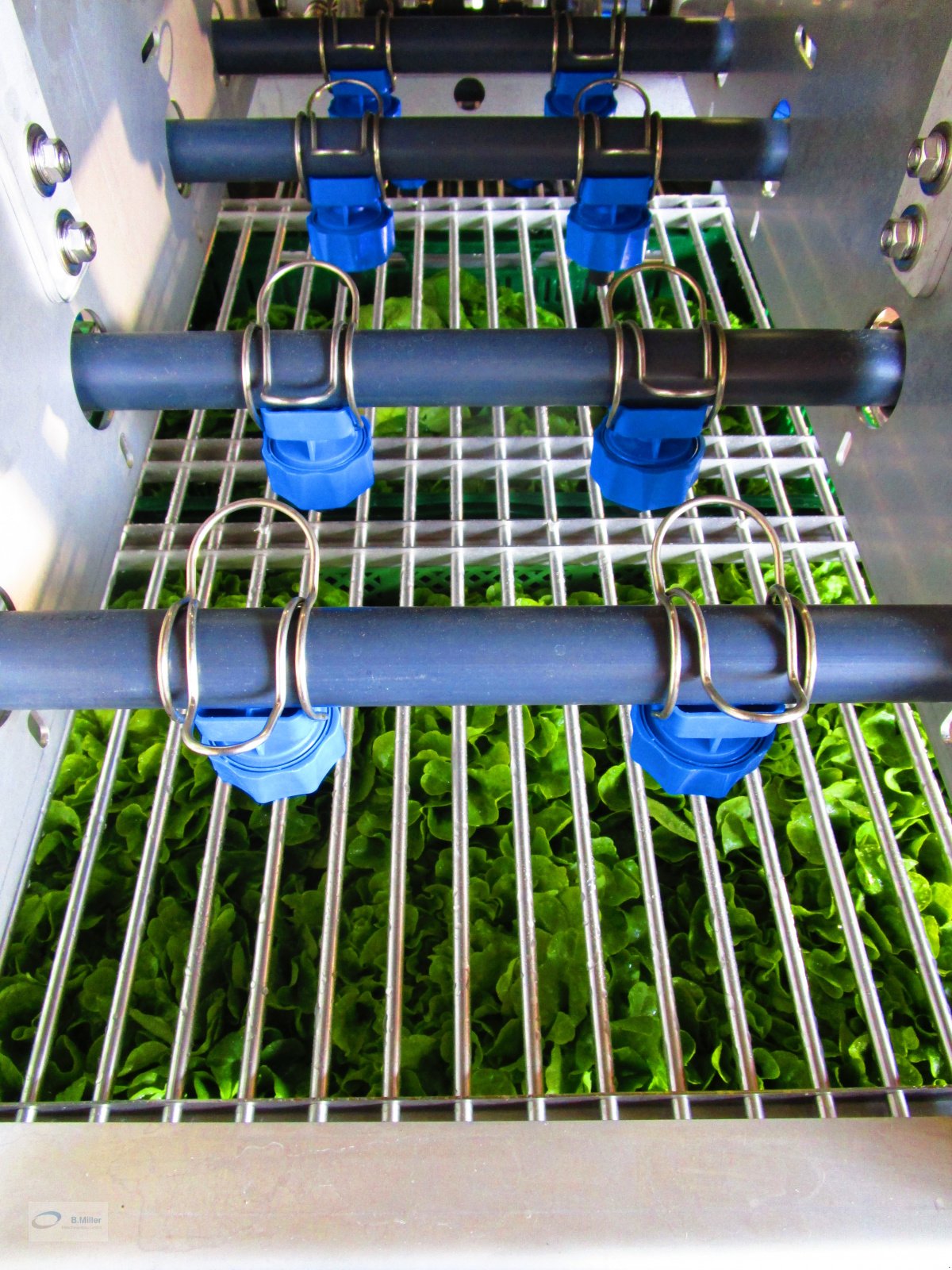 Sonstige Gemüsetechnik des Typs B. Miller Maschinenbau GmbH Salatwaschmaschine, Neumaschine in Eppishausen (Bild 8)