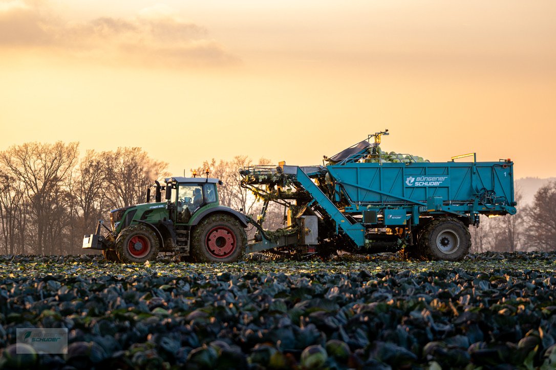 Sonstige Gemüsetechnik del tipo Büngener Schuder GmbH KVE 2.12, Gebrauchtmaschine en Reisbach, Niederhausen (Imagen 10)