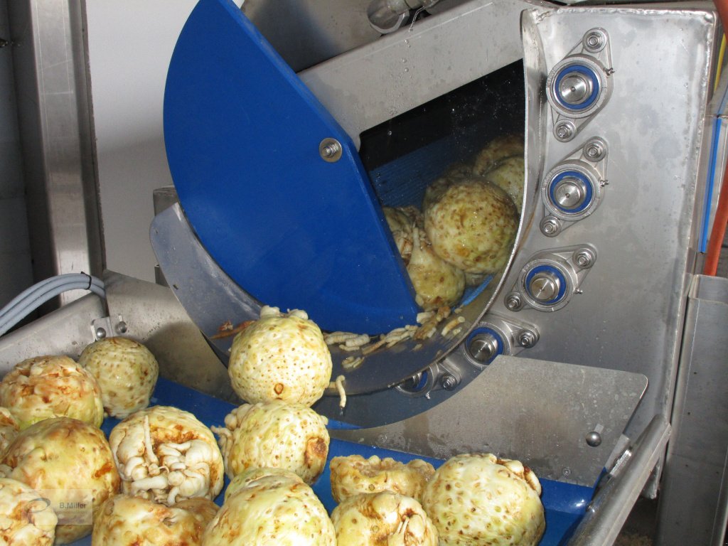 Sonstige Gemüsetechnik des Typs Miller Maschinenbau  Bürstenwaschmaschine, Neumaschine in Eppishausen (Bild 4)