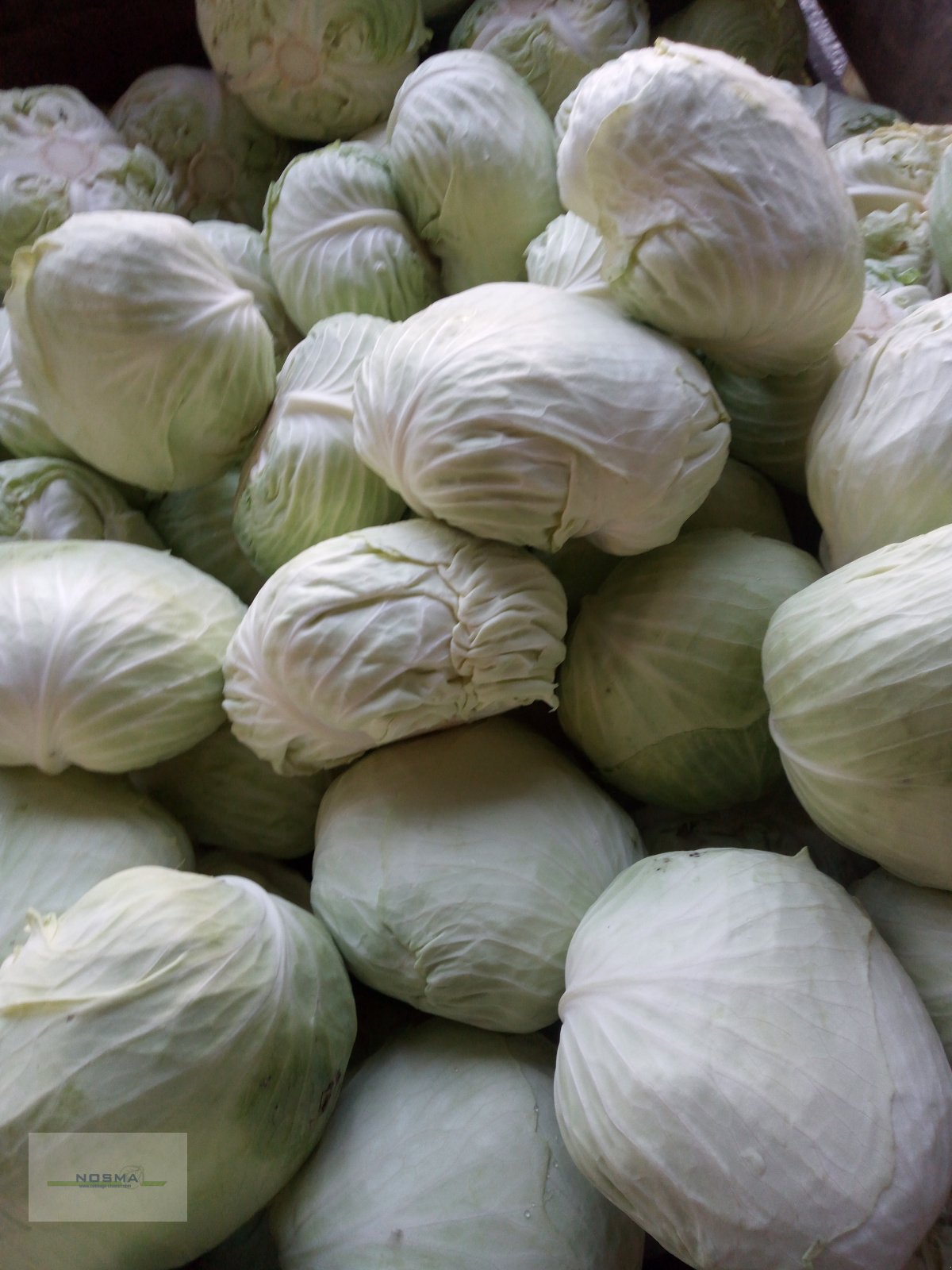 Sonstige Gemüsetechnik van het type NOSMA Kohlputztechnik NOSMA CC2620, Neumaschine in Gangelt (Foto 10)