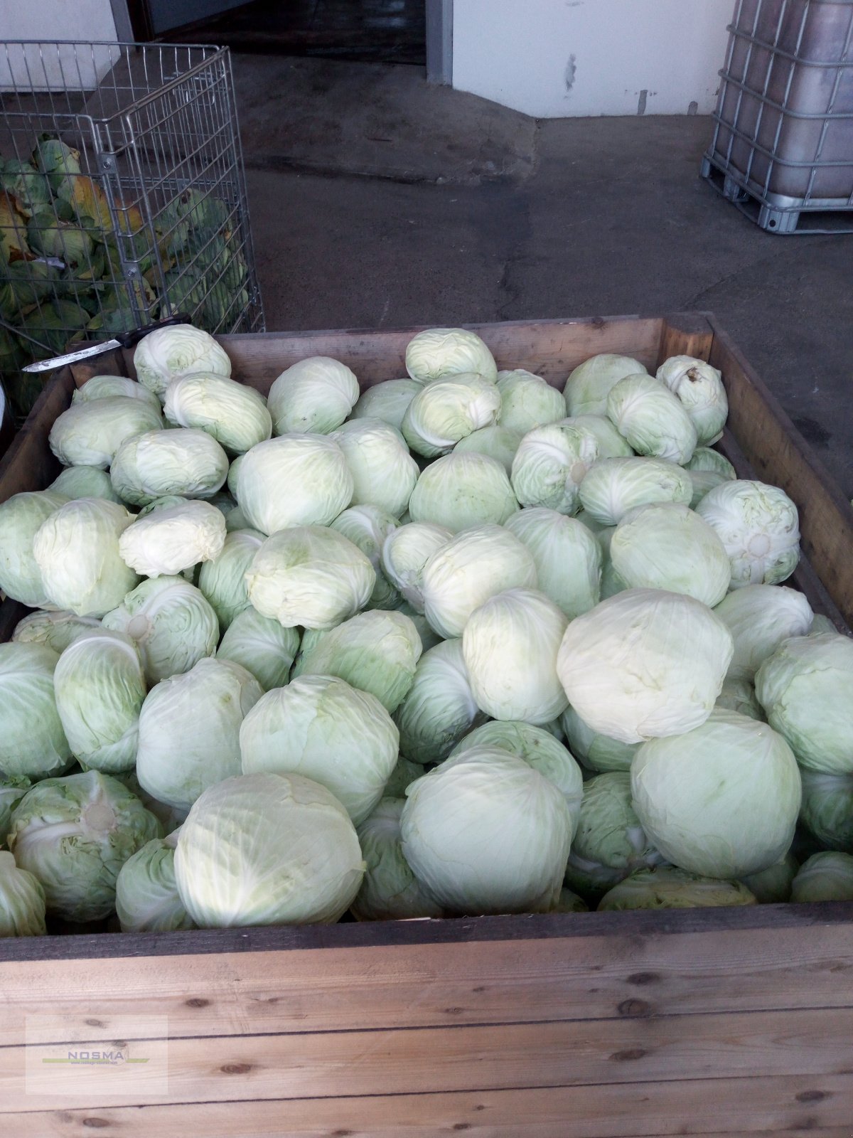 Sonstige Gemüsetechnik van het type NOSMA Kohlputztechnik NOSMA CC2620, Neumaschine in Gangelt (Foto 11)