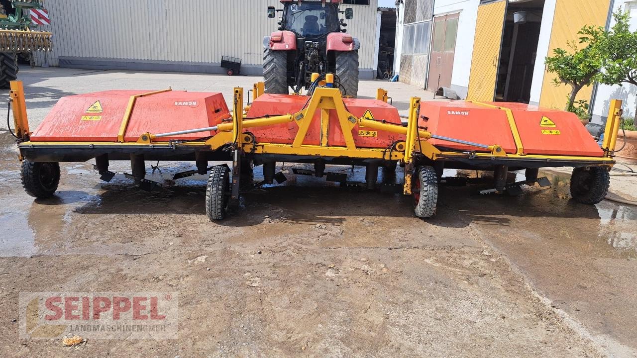 Sonstige Gemüsetechnik Türe ait Samon Samon SU20 3B Zwiebelkrautschläger, Gebrauchtmaschine içinde Groß-Umstadt (resim 2)