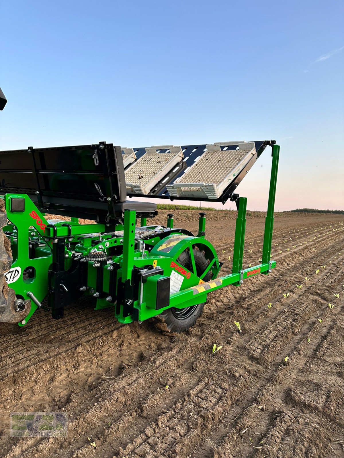 Sonstige Gemüsetechnik van het type Sfoggia STP Gemüsepflanzmaschine, Neumaschine in Ebersberg (Foto 2)