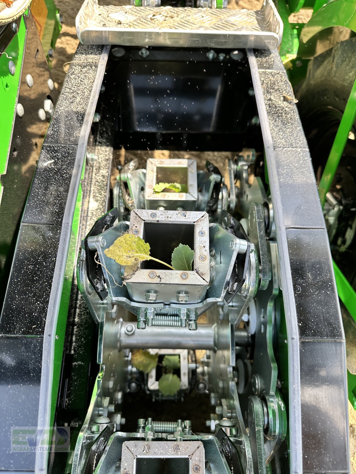 Sonstige Gemüsetechnik van het type Sfoggia STP Gemüsepflanzmaschine, Neumaschine in Ebersberg (Foto 12)