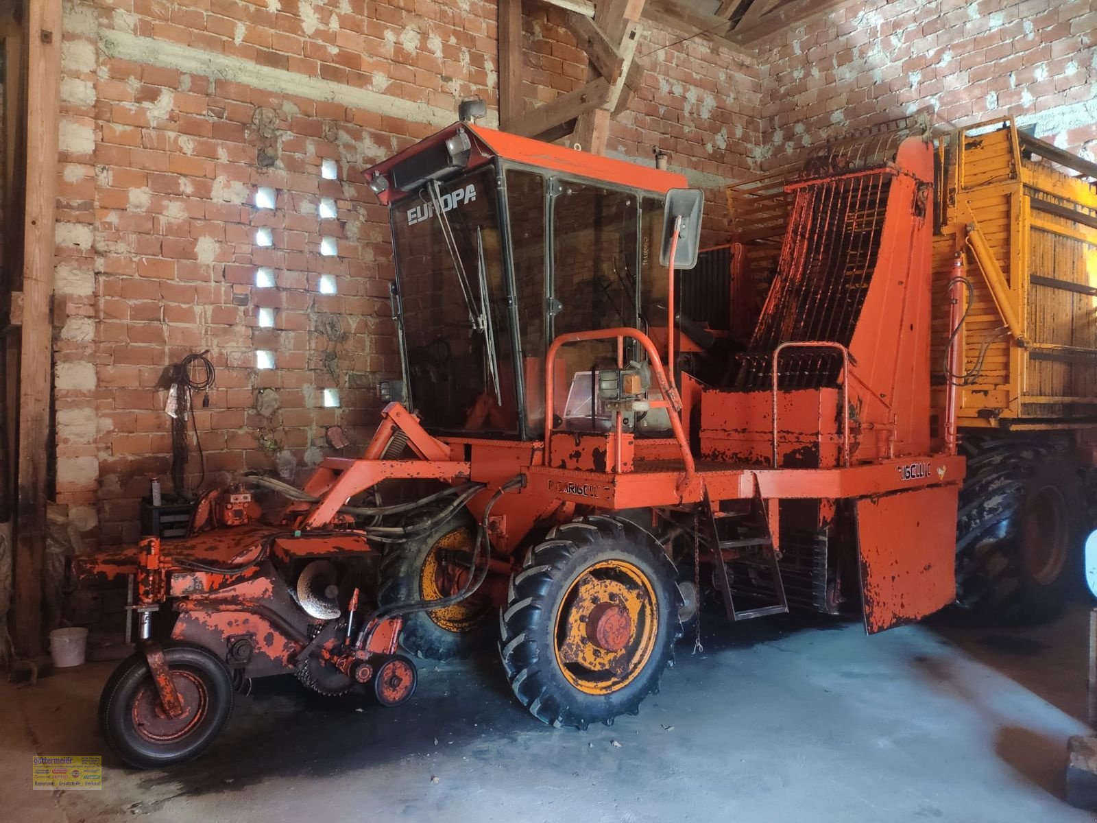 Sonstige Gemüsetechnik Türe ait Sonstige Barigelli Europa 4 RM-L, Gebrauchtmaschine içinde Eferding (resim 3)