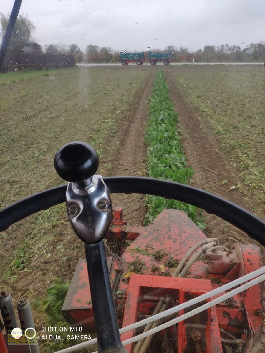 Sonstige Gemüsetechnik Türe ait Sonstige Barigelli Europa 4 RM-L, Gebrauchtmaschine içinde Eferding (resim 5)