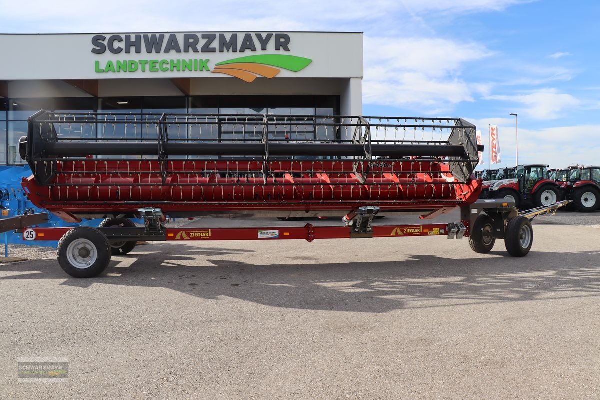 Sonstige Gemüsetechnik des Typs Ziegler Schneidwerkswagen für 3050 6,7 2WT, Neumaschine in Gampern (Bild 1)