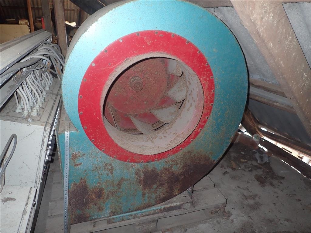 Sonstige Getreidelagertechnik typu Dan Chief 7,5 hk. 1 års garanti, Gebrauchtmaschine w Egtved (Zdjęcie 2)