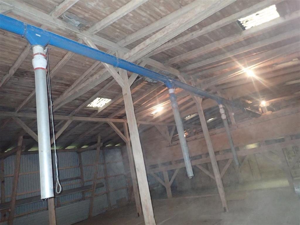 Sonstige Getreidelagertechnik типа Kongskilde DTA 152  Urende 20 m, Gebrauchtmaschine в Egtved (Фотография 3)