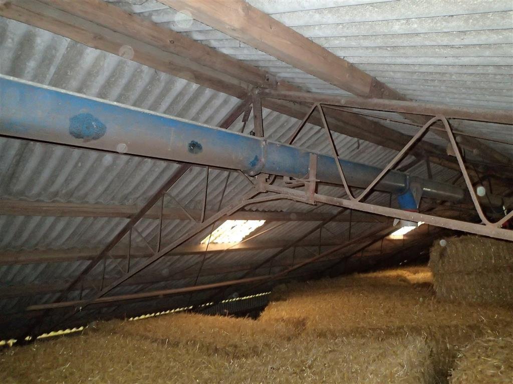 Sonstige Getreidelagertechnik tip Sonstige 152 mm sneglerende, 12 meter, Gebrauchtmaschine in Egtved (Poză 3)