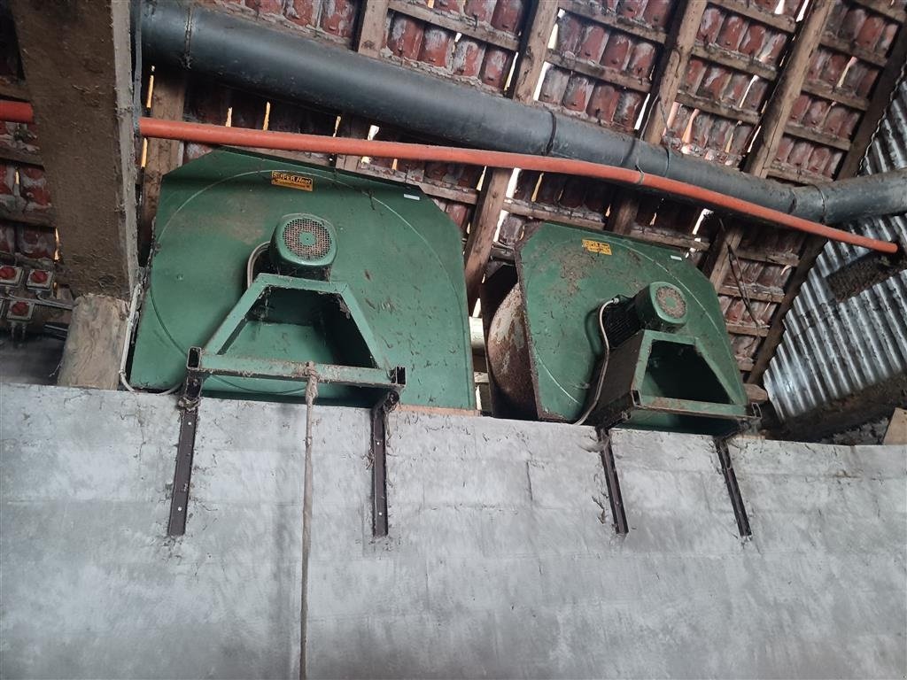 Sonstige Getreidelagertechnik des Typs Sonstige 20 Hk blæser 2 stk., Gebrauchtmaschine in Egtved (Bild 1)