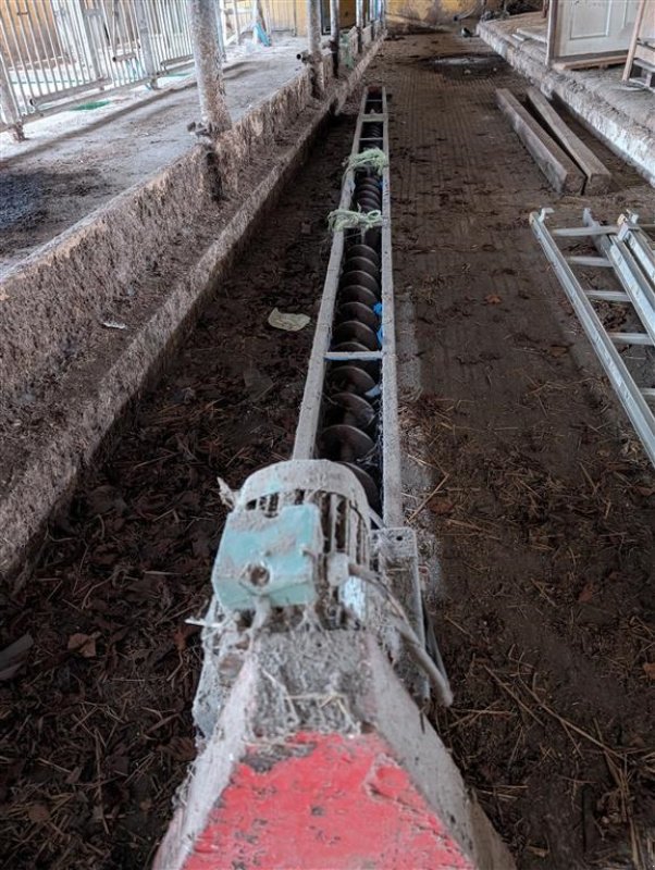 Sonstige Getreidelagertechnik of the type Sonstige 3 udløb  127mm snegl  1,5kW motor, Gebrauchtmaschine in Egtved (Picture 2)