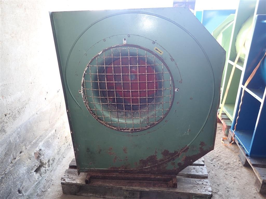 Sonstige Getreidelagertechnik typu Sonstige 5,5 hk Kornblæser,1 Års garanti, Gebrauchtmaschine v Egtved (Obrázek 2)