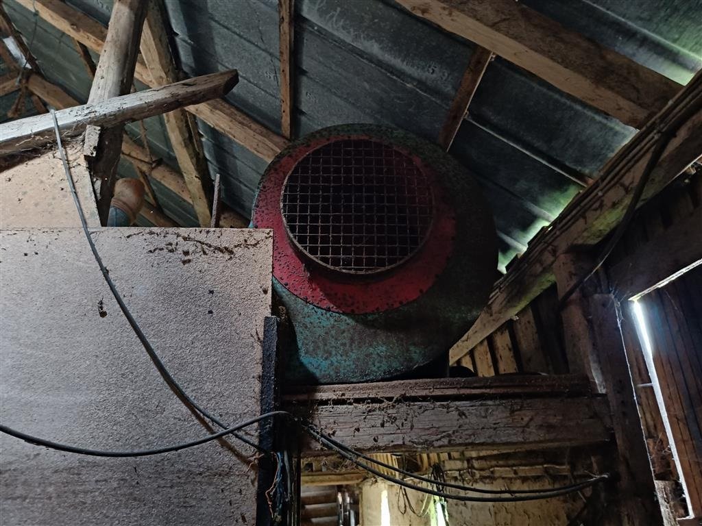 Sonstige Getreidelagertechnik of the type Sonstige Kornsnegle Ø102  ca. 5 m, Gebrauchtmaschine in Egtved (Picture 3)